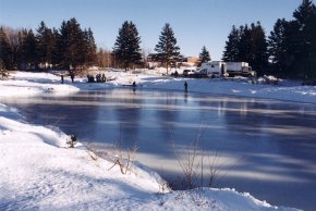Long Pond frozen over in winter, ringed by bare trees, with a low wooded ridge behind it.